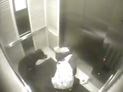 Oblivious Owner Forgets about Poor Dogs Leash When Getting on the Elevator... The Result is Not Good