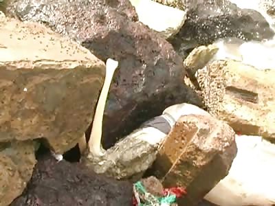 Half Skeleton Man is Found Washed Ashore on the Coast of Thailand 