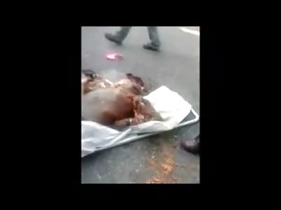 Minced Meat on the Road