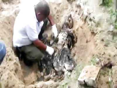 Woman was Killed and Buried in Shallow Grave as Examiner Digs her Up 