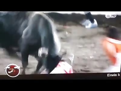 A Full Grown Angry Bull Steps on a Mans Head