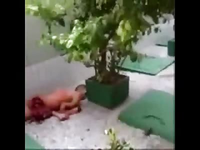 Short Suicide Aftermath Splatter from Jumper