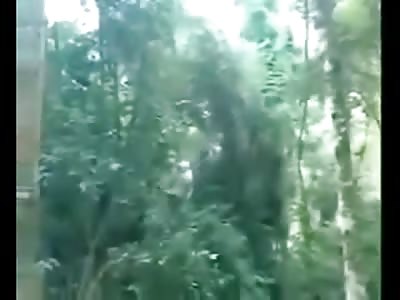 Lets Go Swinging on a Rope over a Huge Mountain they Said.... It will Be Safe They Said