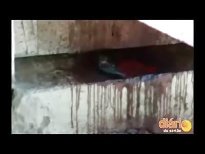 Woman Couldn't Take it Anymore .. Blows Her Brains Out