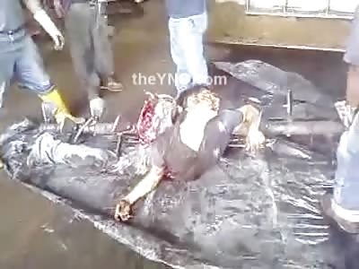 SHOCKING: Poorly Trained Worker is Sucked into a Machine and Mangled to Death