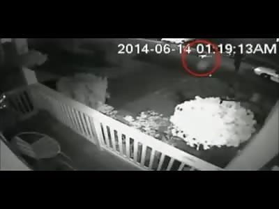 Just Released Video Shows a Tacoma Police Officer Runover a US Solider with His Squad Car