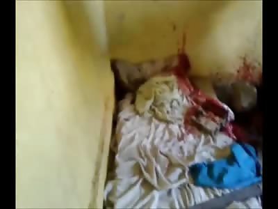 Thief caught on a Hammock had his Head Blown Up by a 12 Gauge Shotgun, Brain Splatter 