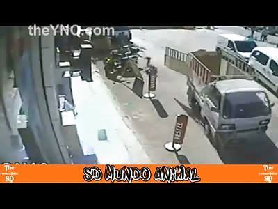 Boy is Fatally Struck by Trucks Unlatched Gate that Flies Open Hitting Him in the Head