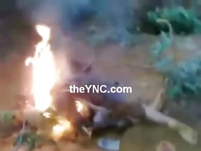 14 Year Old Girl Found Burning with her Decapitated Head Taken by Murderer as a Trophy