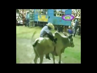 One Man's Final Bull Ride, He Died later in the Hospital 
