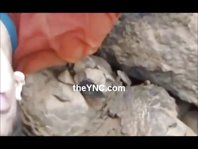 Man Found Murdered with Throat Wide Open (No Audio)