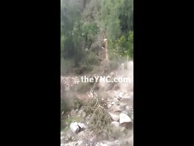 RUN: Lumberjack Woman is Hit by a Falling Tree....(Longer Version not on other Sites shows She Survives)