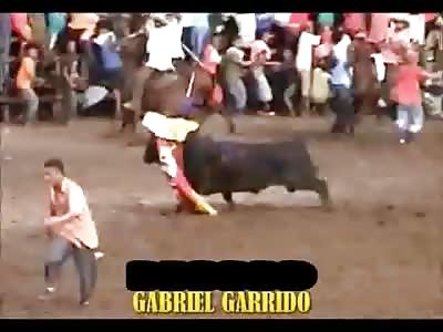 Bull Drives Man into the Mud then Flings the Mudman Ragdoll in the Air