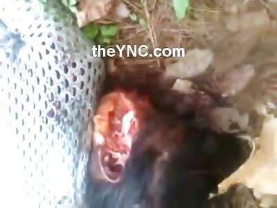 Woman in Black Dress Found Dead with Machete Blows to her Face