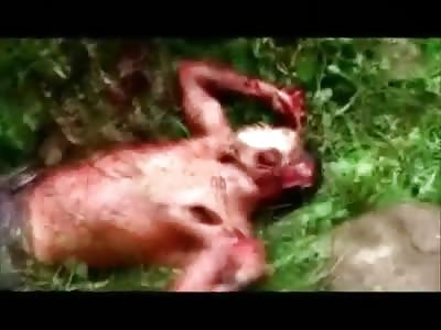 Man is Found Hacked up from Head to Toe from 100's of Machete Blows