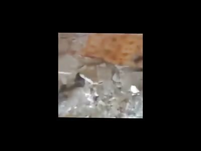 Picking Through Pieces of Body Everywhere .. But Still Enough Time to Pose with the Dead Body of My Enemy