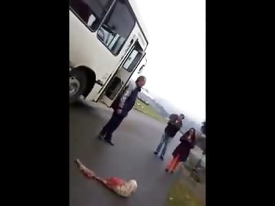 Brutal Video shows a Poor Dog Hit by a Bus Euthanize by Folks who want to End its Suffering (VERY Graphic) 