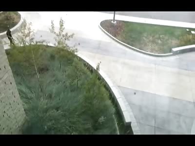 Wild Cougar on Helath Campus is Killed by Police in Front of Patients Watching Outside Window with a Shotgun 