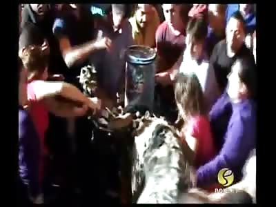 Why Do People Light Bulls Horns on Fire? 