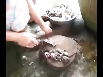 Just in Case you Wanted to Prepare Rat for your Next Dinner Party 