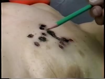 Elderly Man Murdered his Wife with 12 Gunshots to the Chest