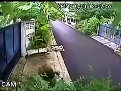 Older Woman is Dragged by Thief on a Motorcycle after He Grabs Her Purse 