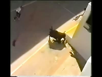 Bulls in Attack Mode 2 Different Scenes of Bulls Knocking Out Idiots 