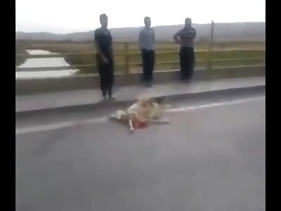 Truck Driver Hit a Herd of Hundreds of Sheep leaving this MESS on the Highway 