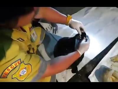 HD Video of Hands and Head found Inside of a Plastic Bag...