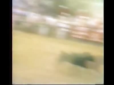 This is Why an Elderly Man should NOT be Taunting a Bull...(Fatal Goring) 