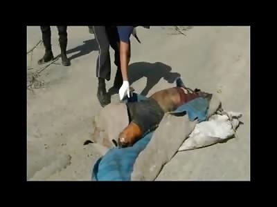 Man found inside an Old Blanket is missing his Arms and Legs