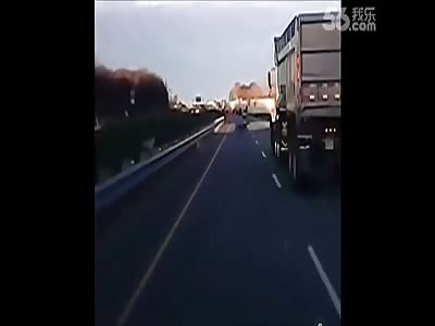 Deer Disintegrating while Trying to Cross the Road 