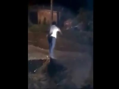 Dog Gets too Close to Crocodile and Pays the Price