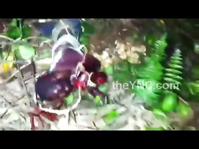 Man is Brutally Tortured, Beaten and Killed in a Field 