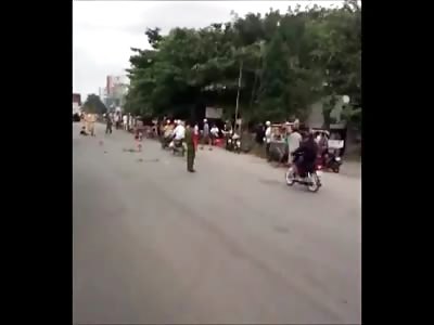 Not your Typical Road Kill