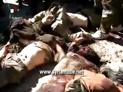 Just some really dead muslims