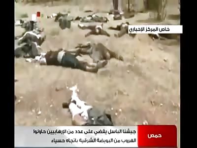 Just some dead terrorists