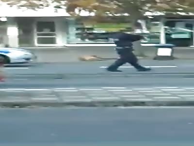 German police shoot two dogs