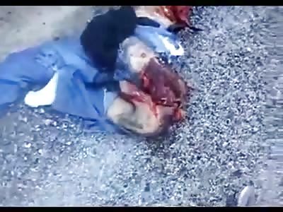 Motorcyclist Ripped Apart  