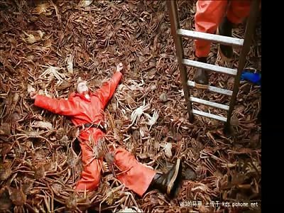 TJWP thread No. 11 (Long Gore) 9 mins approx.