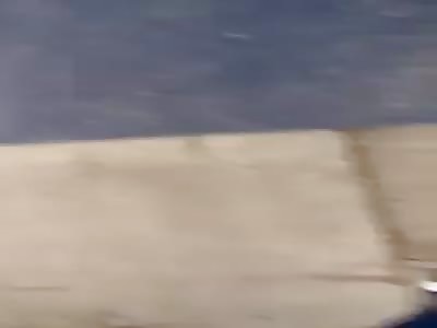 RCMP Shoot Dog With Shotgun