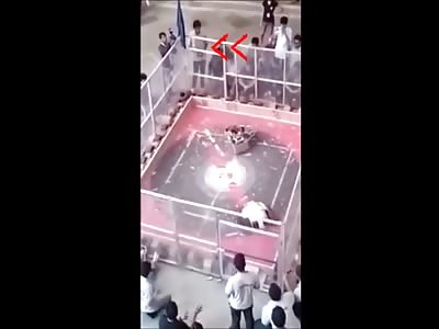 Robot War Spectator Should Have Kept His Head A Foot Lower (New Angle)