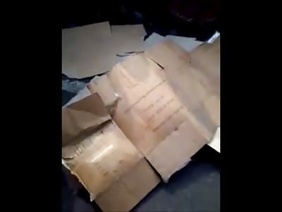 Idonesian girl in school uniform lays dead after being runover by truck