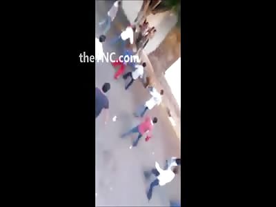 Man is Attacked by Bull and Dies After Hit His Head on the Curb 