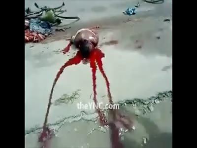 Cyclist Cutted in Half by Tanker Truck