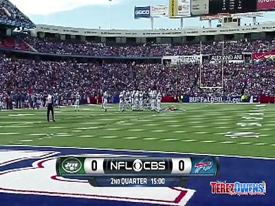 Buffalo Bills Fan Falls From 300 level Ralph Wilson Stadium