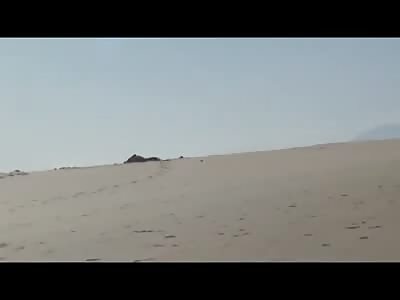 Fucking on a public beach!