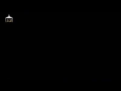 Stars of the YNC #95