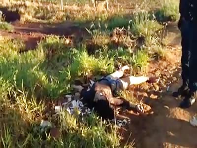 Bodies Everywhere after being Ejected from Car 