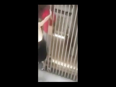 Well you Messed with the WRONG Wifey...Tossed over a Small Bridge 